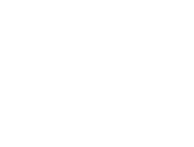 Estrella Logo mono center